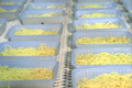 写真：冷凍麺製造